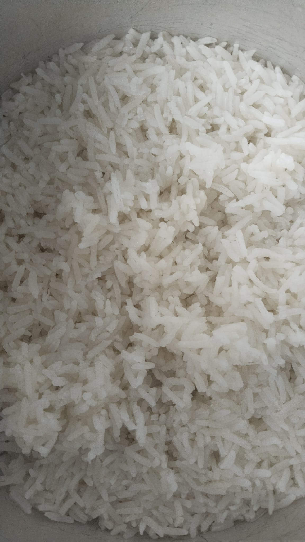 50 kg (1 Sack) Golden Lion Thai Best Quality Rice Maalsa Buhaghag Grain 95 Long Grain - Image 3